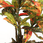 Load image into Gallery viewer, Fourwalls Artificial Croton Bonsai Plant