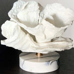 Load image into Gallery viewer, SEA WAVE CORAL