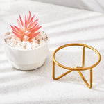 Load image into Gallery viewer, Artificial Red Succulent Plant