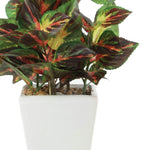 Load image into Gallery viewer, PolliNation Artificial Bonsai