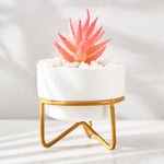 Load image into Gallery viewer, Artificial Red Succulent Plant