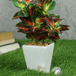 Load image into Gallery viewer, PolliNation Artificial Bonsai