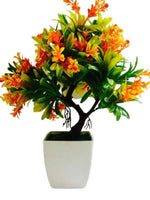 Load image into Gallery viewer, Mini Plants