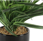 Load image into Gallery viewer, Artificial Dracaena Bonsai