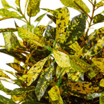 Load image into Gallery viewer, Fourwalls Artificial Bonsai