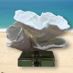 Load image into Gallery viewer, RA White Coral-Inspired Sculpture