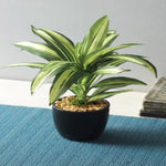 Load image into Gallery viewer, Artificial Dracaena Bonsai Plant With Vase