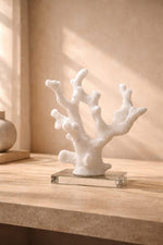 Load image into Gallery viewer, Coral-Inspired Decorative Sculpture