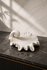 Load image into Gallery viewer, Nautilus Shell Decorative Bowl | Premium White Resin Accent Tray