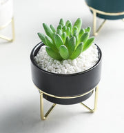 Small Flower Pot