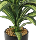 Load image into Gallery viewer, Artificial Dracaena Bonsai Plant With Vase
