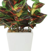 PolliNation Artificial Bonsai