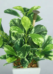 Artificial Coin leaf Bonsai with White Ceramic Pot