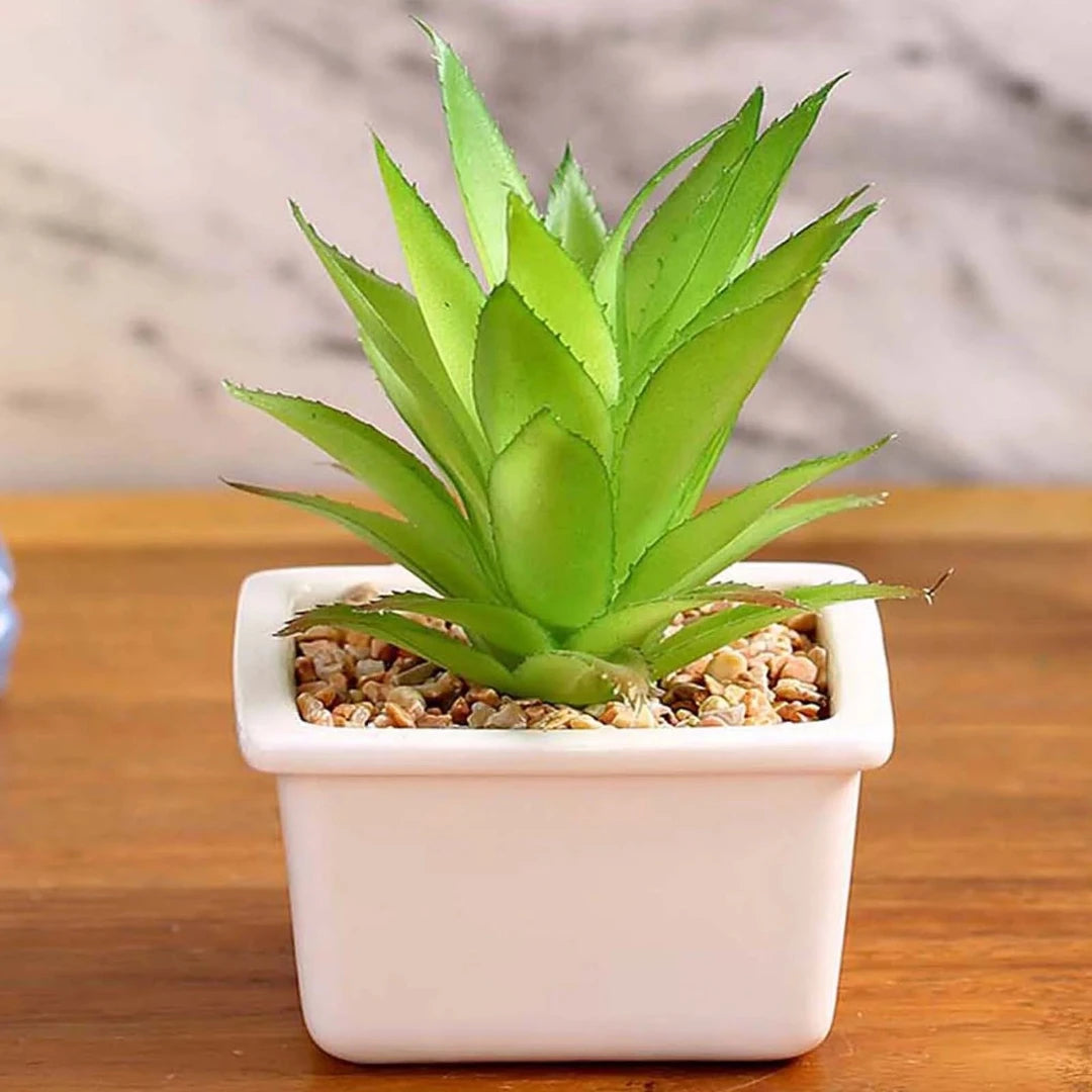 Artificial Succulent Plant