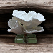 RA White Coral-Inspired Sculpture