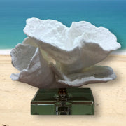 RA White Coral-Inspired Sculpture