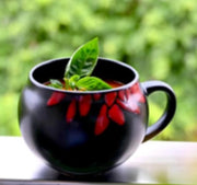 PORCELAIN Mug Set Red And Black (Set Of 6)