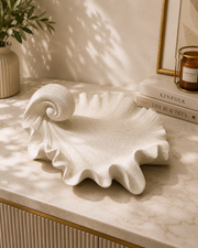 Nautilus Shell Decorative Bowl | Premium White Resin Accent Tray